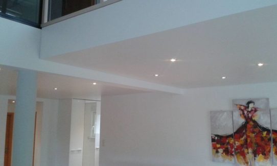 plafonds tendus pour la rénovation